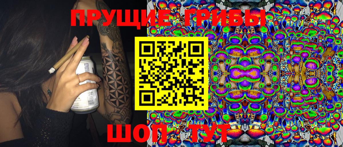 Галлюциногенные грибы прущие грибы Карабулак