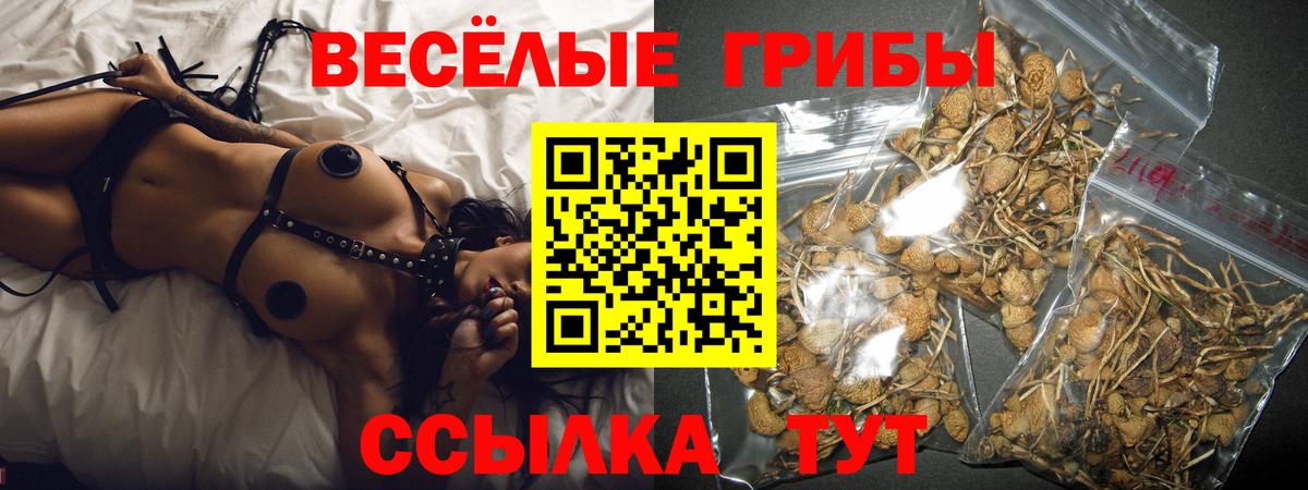 Карабулак  Псилоцибиновые грибы мухоморы  Галлюциногенные грибы мухоморы  Вход с VPN 